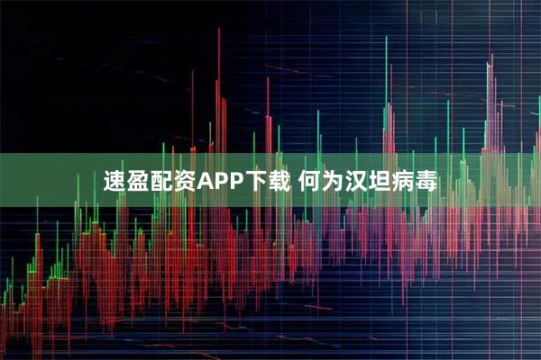 速盈配资APP下载 何为汉坦病毒